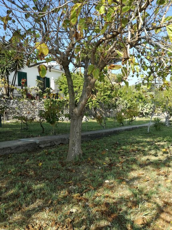 Villa Ninetta-Isabella Gaeta Exterior photo